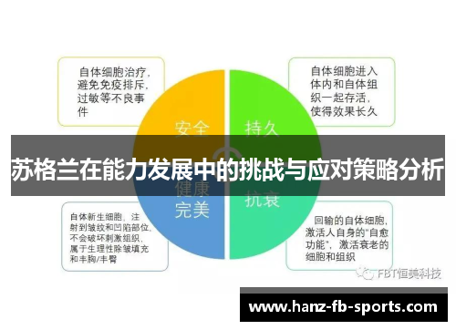 苏格兰在能力发展中的挑战与应对策略分析